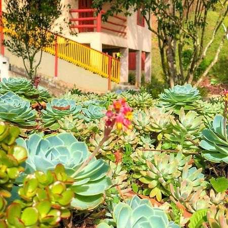 Sitio Dos Palmitos - Casa Pupunha Hotel Pedra Azul  Eksteriør billede