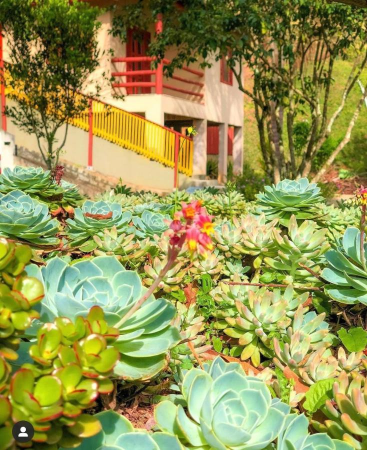 Sitio Dos Palmitos - Casa Pupunha Hotel Pedra Azul  Eksteriør billede